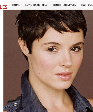Illustration for article titled Haircut guide images...